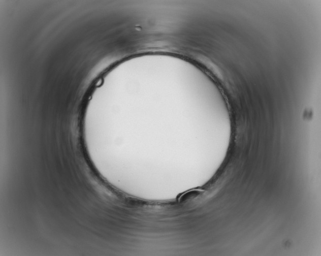 X0000100951458200807221109