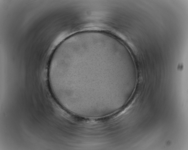 X0000100951459200807221109