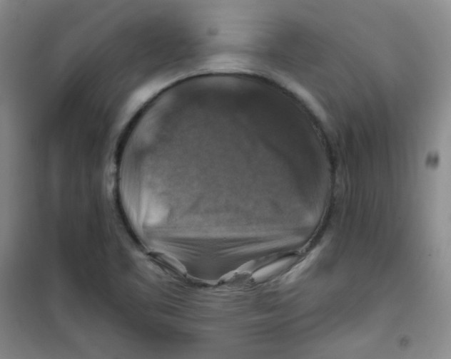 X0000100951461200807221109