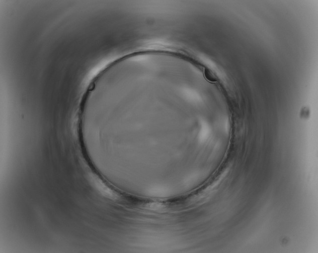 X0000100951463200807221109