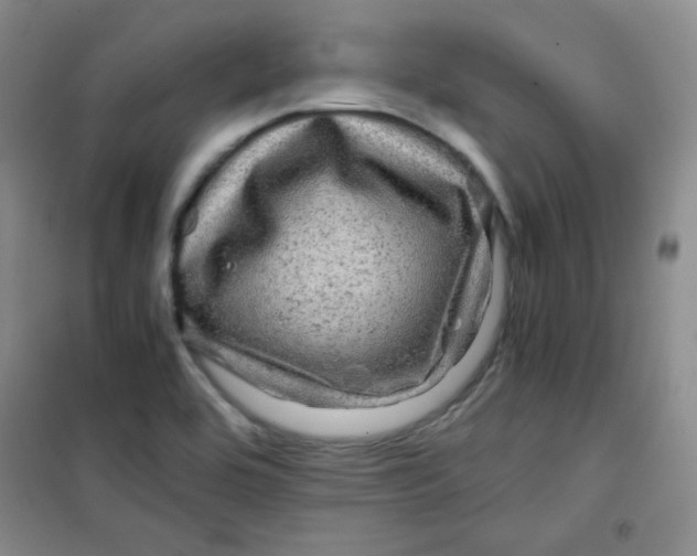 X0000100951464200807221109