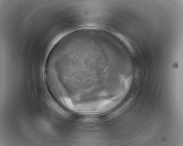 X0000100951466200807221109