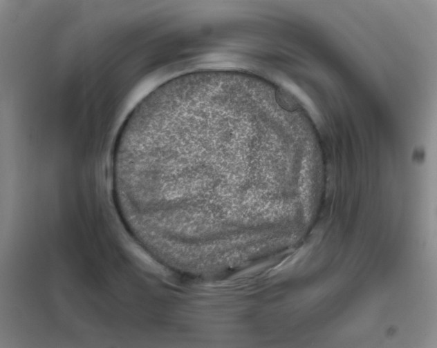 X0000100951467200807221109