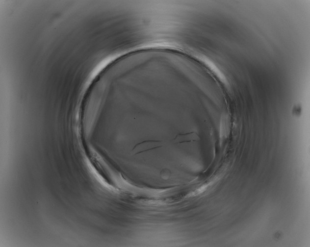 X0000100951468200807221109