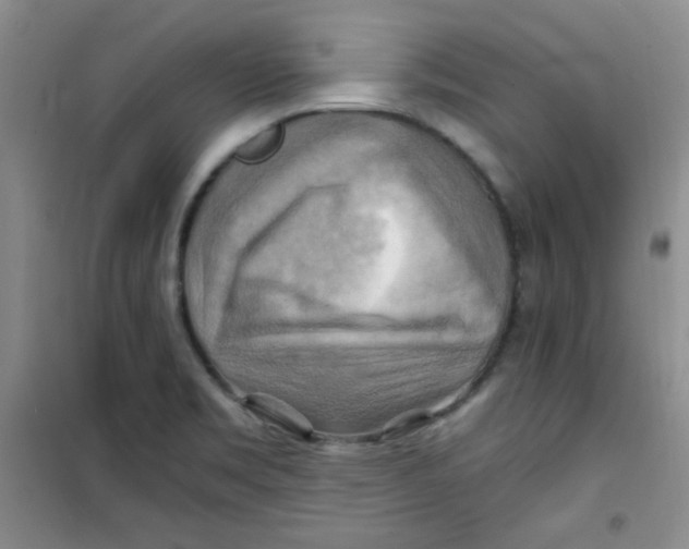 X0000100951469200807221109