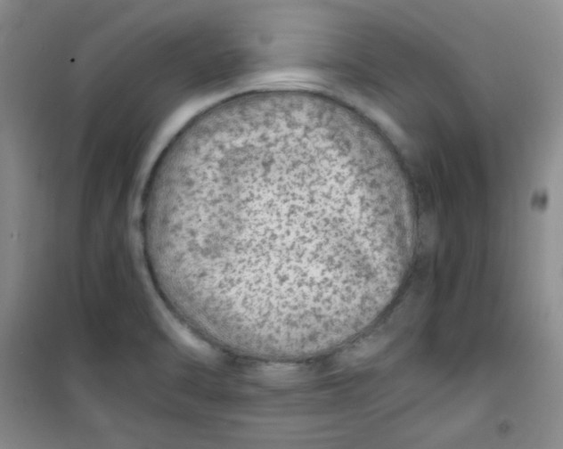 X0000100951470200807221109