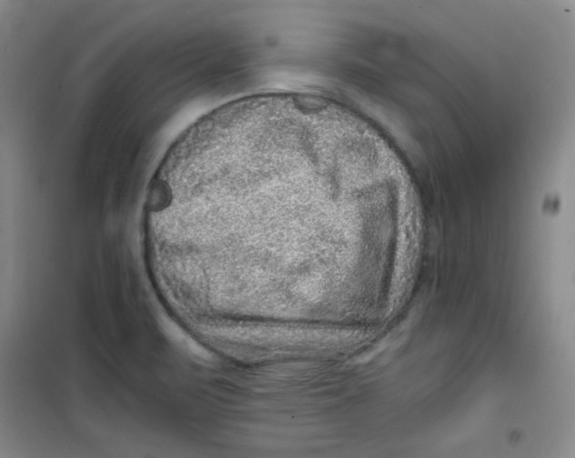 X0000100951471200807221109