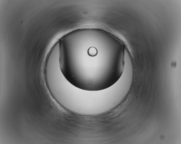 X0000100951472200807221109