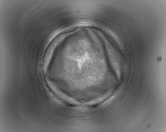 X0000100951473200807221109