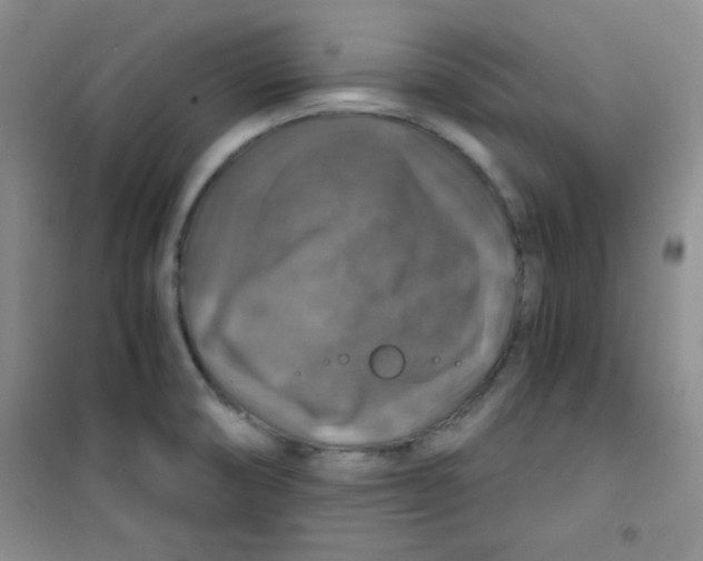 X0000100951474200807221109