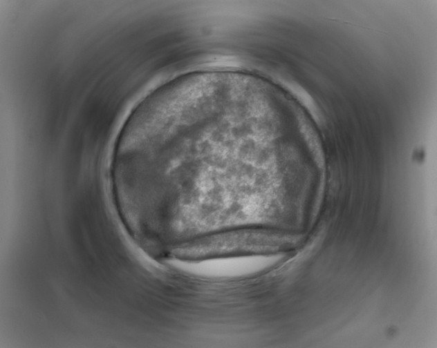 X0000100951475200807221109