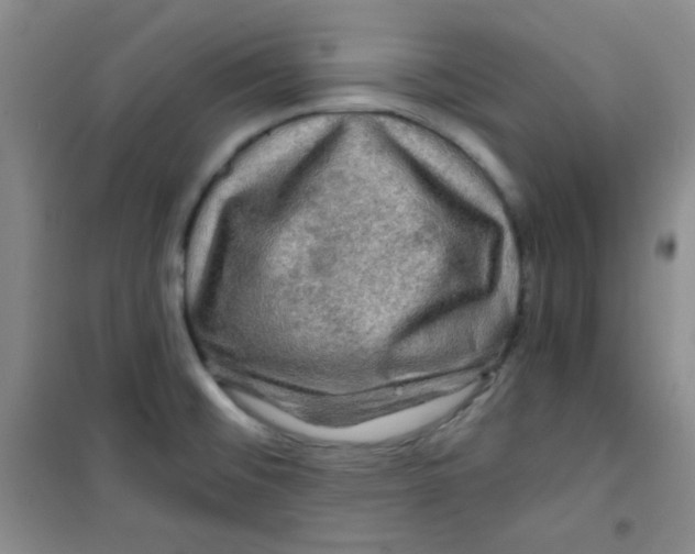 X0000100951476200807221109