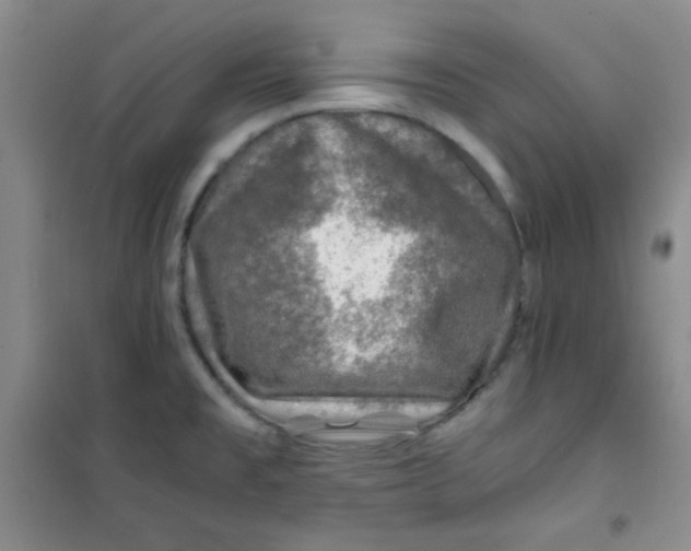 X0000100951477200807221109