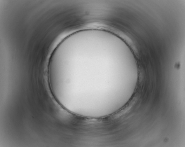 X0000100951478200807221109