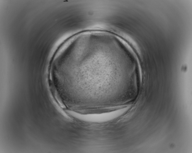 X0000100951480200807221109