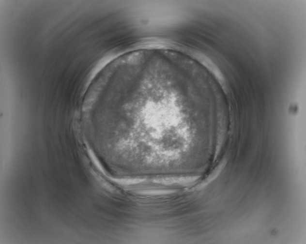 X0000100951481200807221109