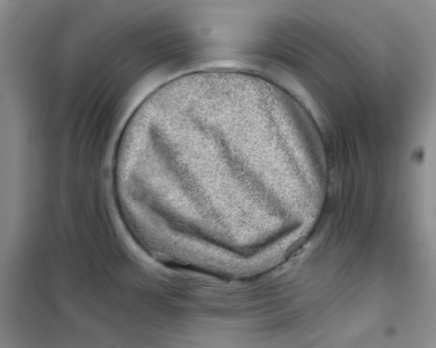 X0000100951483200807221109