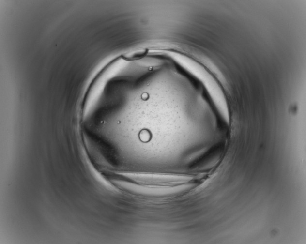 X0000100951484200807221109