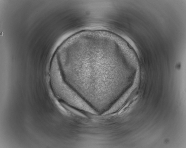 X0000100951485200807221109