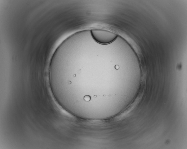 X0000100951486200807221109