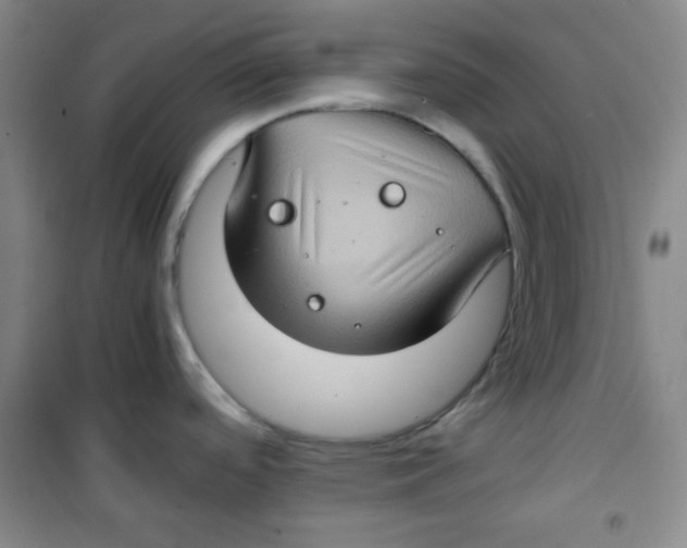 X0000100951488200807221109