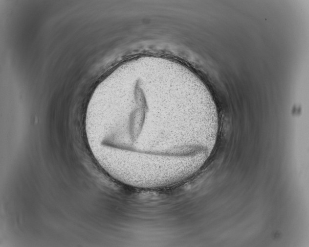 X0000100951489200807221108