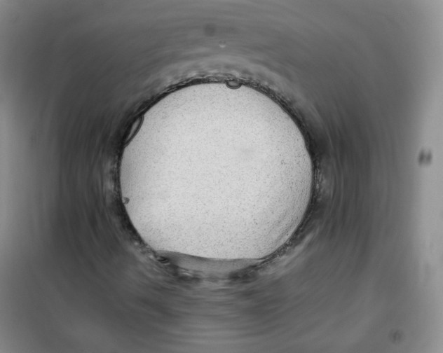 X0000100951490200807221108