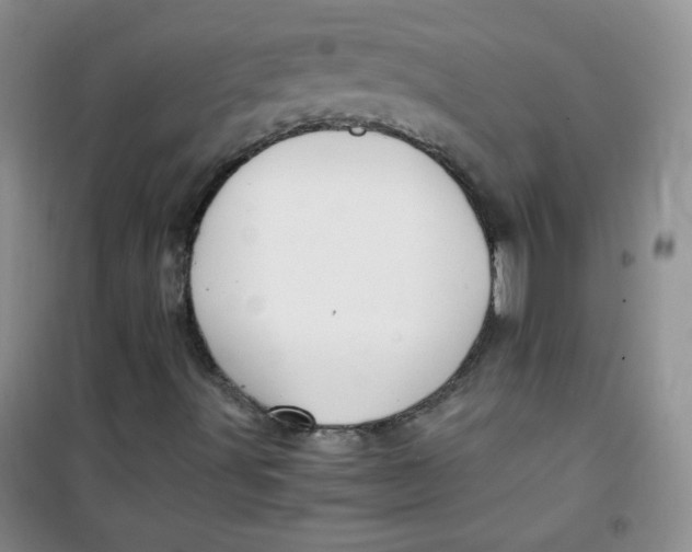 X0000100951491200807221108