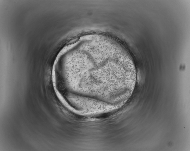 X0000100951492200807221108