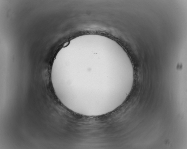 X0000100951493200807221108