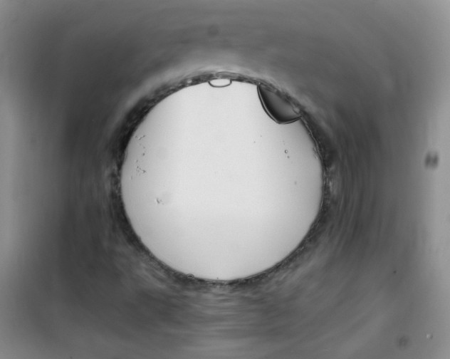 X0000100951495200807221108