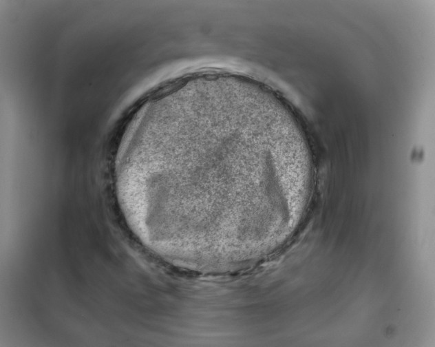 X0000100951496200807221108