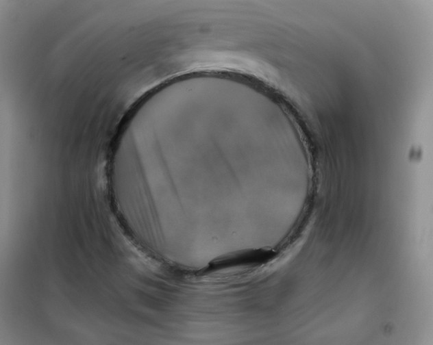 X0000100951497200807221108