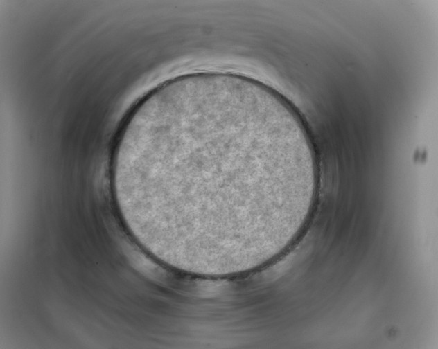 X0000100951498200807221108