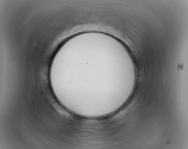 X0000100951499200807221108