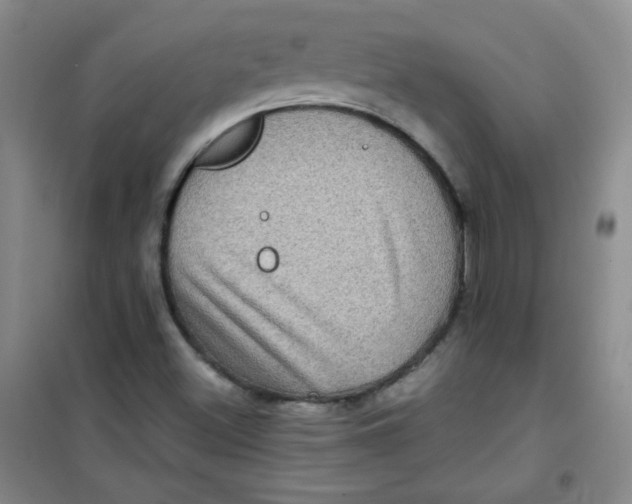 X0000100951500200807221108