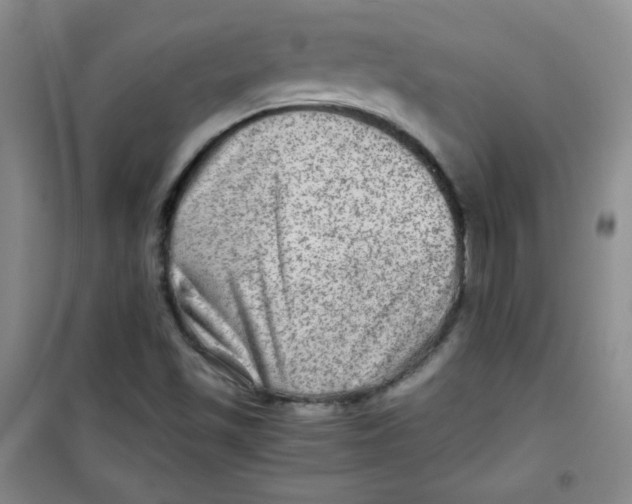 X0000100951501200807221108