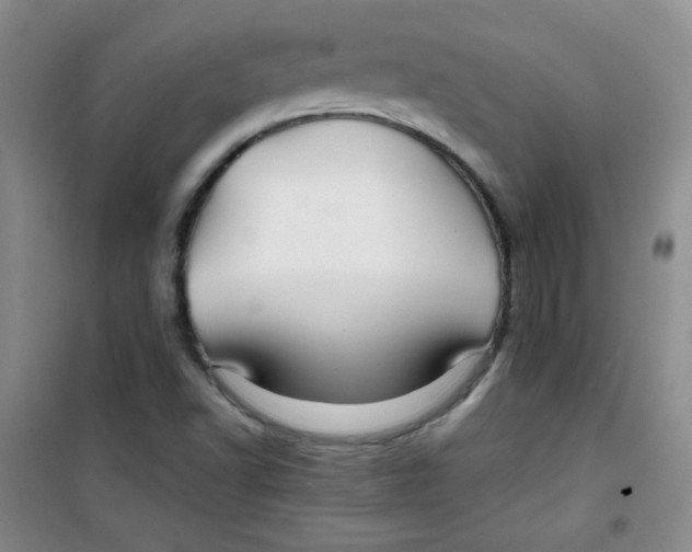 X0000100951502200807221108