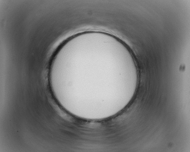 X0000100951503200807221108