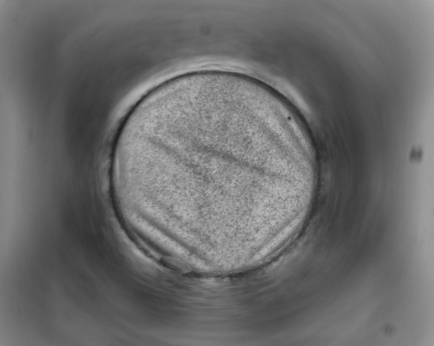 X0000100951504200807221108