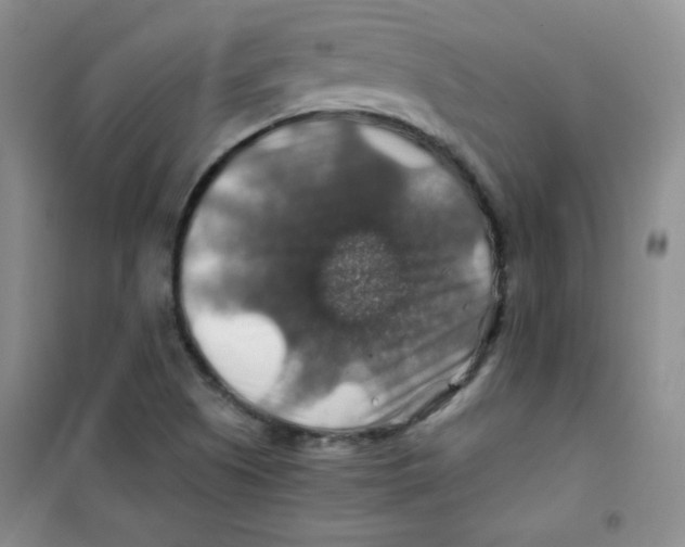 X0000100951505200807221108