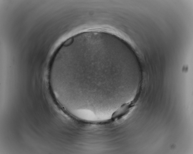 X0000100951506200807221108