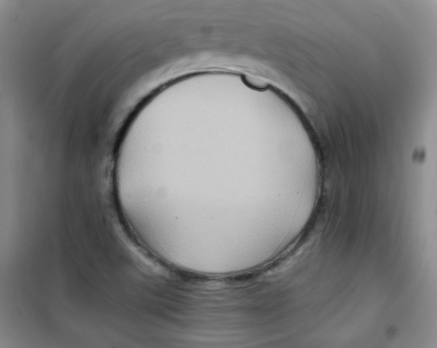 X0000100951507200807221108