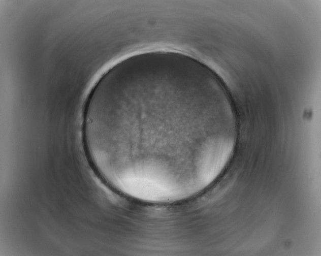 X0000100951508200807221108