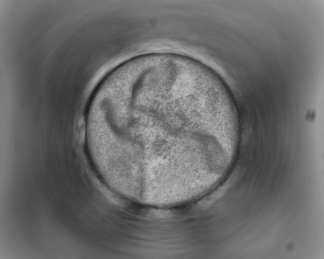 X0000100951509200807221108