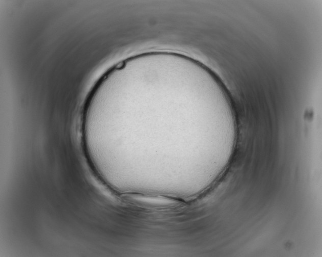 X0000100951511200807221108