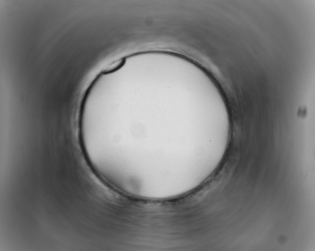 X0000100951512200807221108