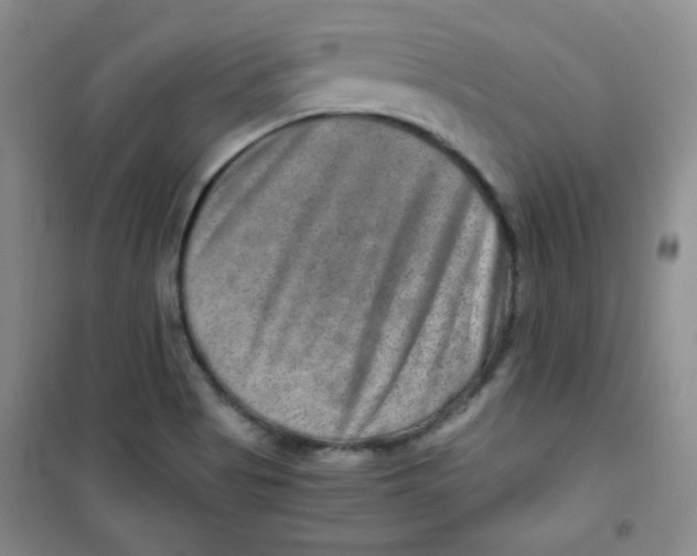 X0000100951513200807221108