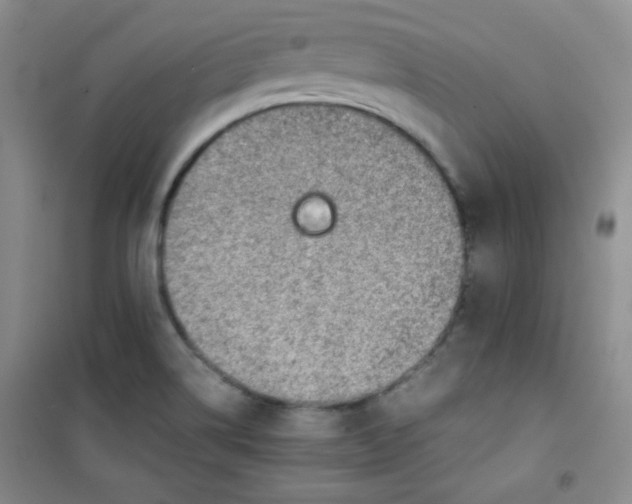 X0000100951514200807221108