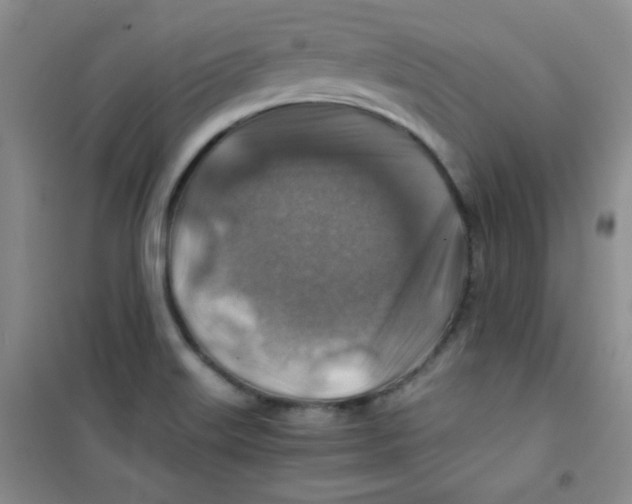 X0000100951515200807221108